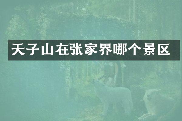 天子山在张家界哪个景区