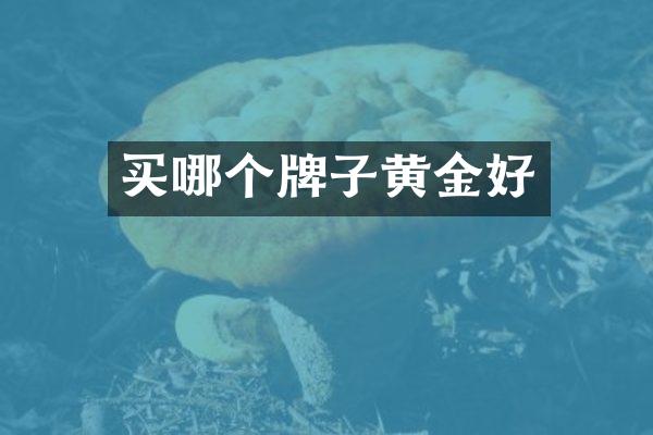 买哪个牌子黄金好