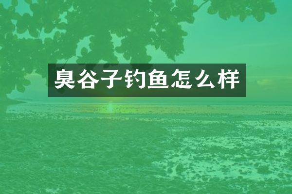 臭谷子钓鱼怎么样