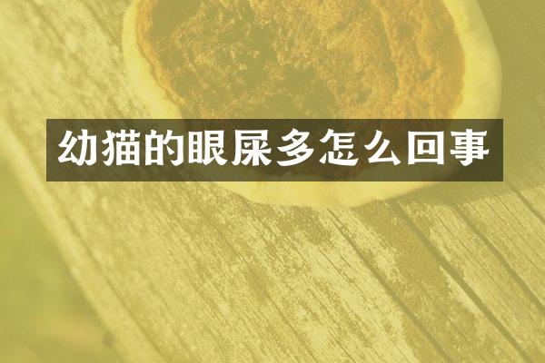 幼猫的眼屎多怎么回事