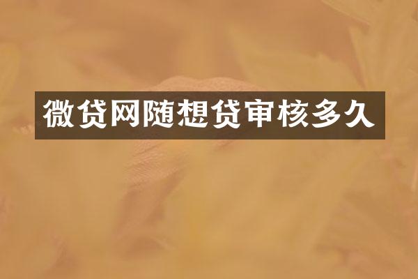 微贷网随想贷审核多久