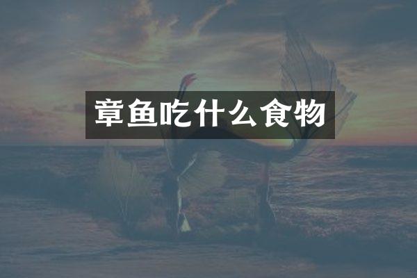 章鱼吃什么食物