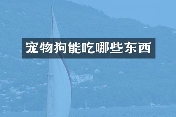 宠物狗能吃哪些东西