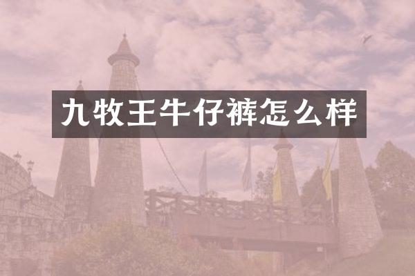 九牧王牛仔裤怎么样