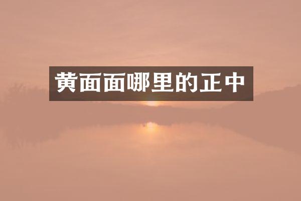 黄面面哪里的正中