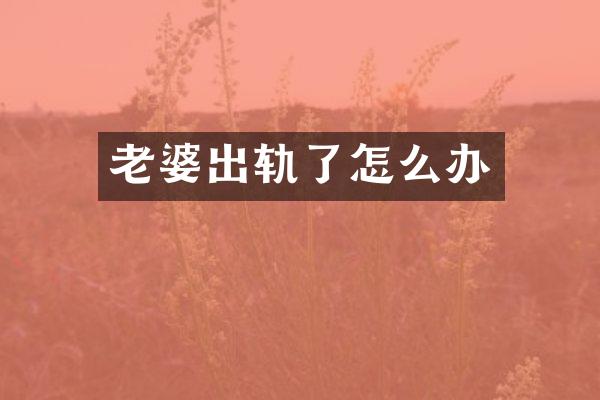 老婆出轨了怎么办