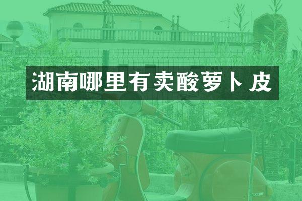 湖南哪里有卖酸萝卜皮