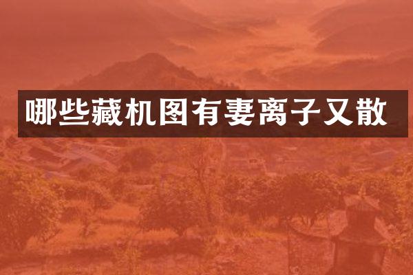 哪些藏机图有妻离子又散