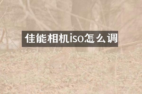 佳能相机iso怎么调