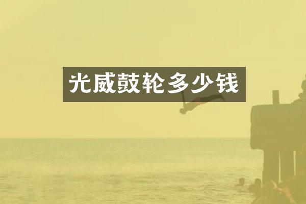 光威鼓轮多少钱