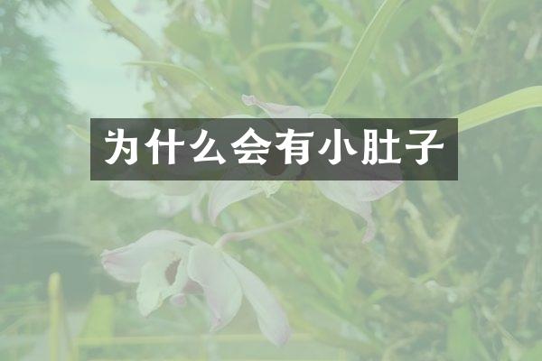 为什么会有小肚子