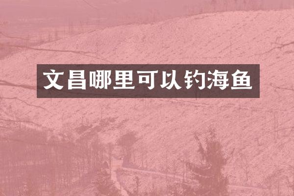 文昌哪里可以钓海鱼