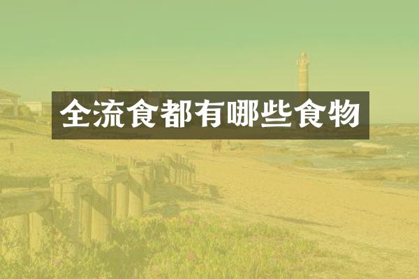 全流食都有哪些食物