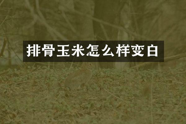 排骨玉米怎么样变白