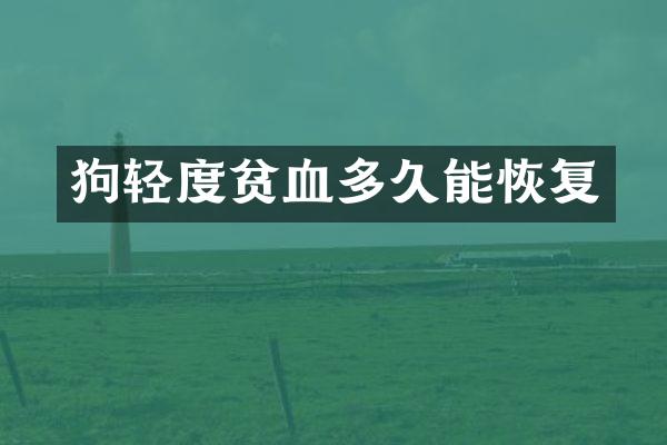 狗轻度贫血多久能恢复