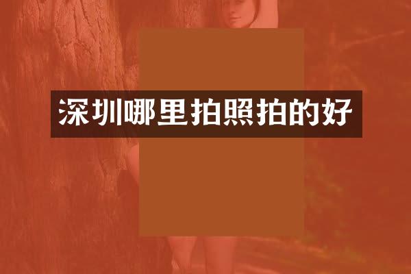 深圳哪里拍照拍的好