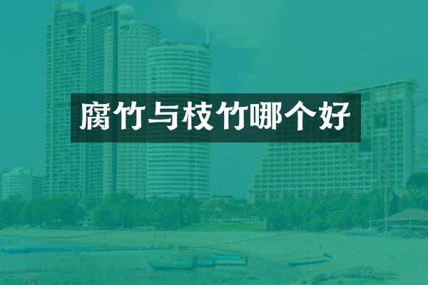 腐竹与枝竹哪个好