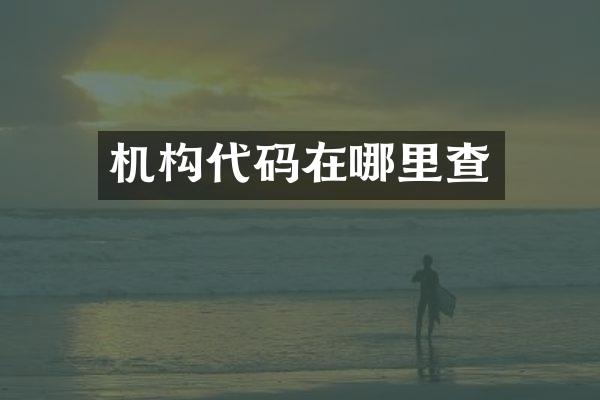 机构代码在哪里查