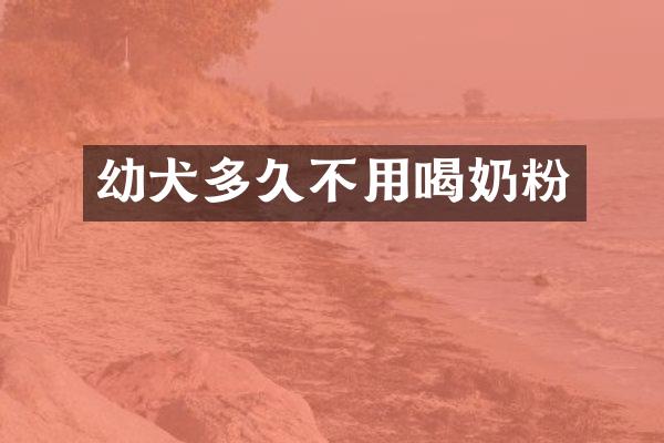 幼犬多久不用喝奶粉