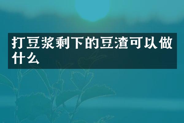 打豆浆剩下的豆渣可以做什么