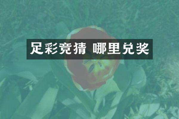 足彩竞猜 哪里兑奖