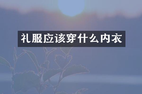 礼服应该穿什么内衣