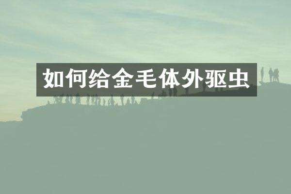 如何给金毛体外驱虫