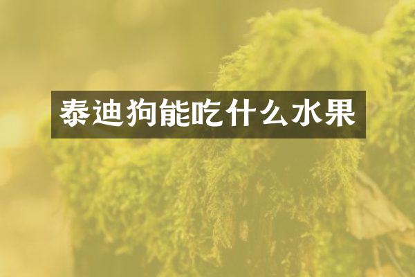 泰迪狗能吃什么水果