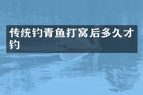 传统钓青鱼打窝后多久才钓