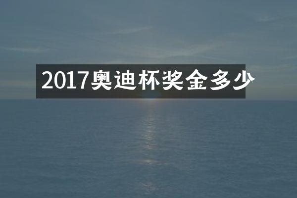 2017奥迪杯奖金多少