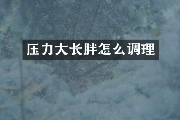 压力大长胖怎么调理