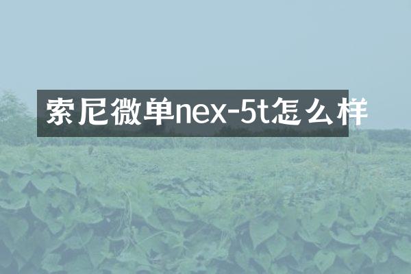 索尼微单nex-5t怎么样