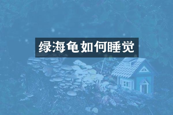 绿海龟如何睡觉