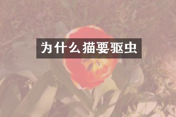 为什么猫要驱虫