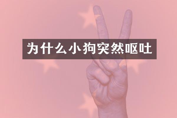 为什么小狗突然呕吐
