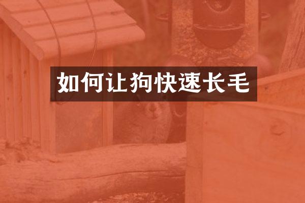 如何让狗快速长毛
