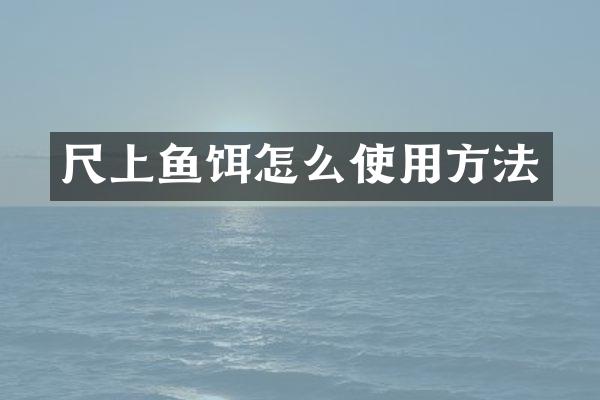 尺上鱼饵怎么使用方法