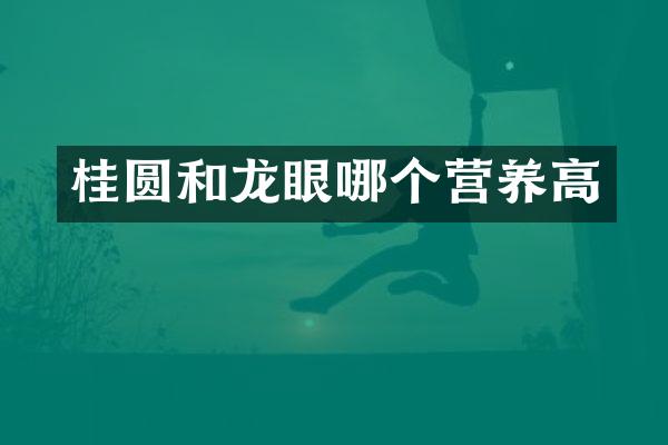 桂圆和龙眼哪个营养高