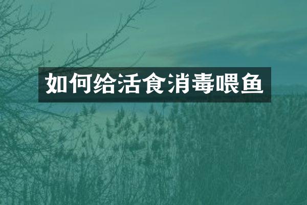 如何给活食消毒喂鱼