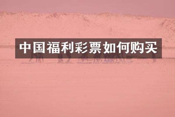 中国福利彩票如何购买