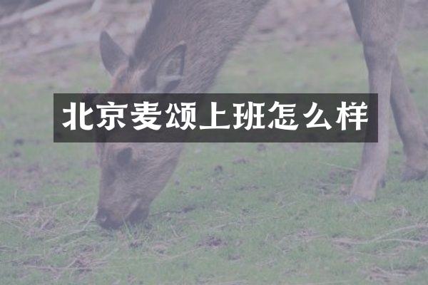 北京麦颂上班怎么样