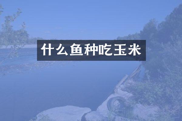 什么鱼种吃玉米