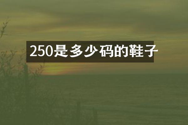 250是多少码的鞋子