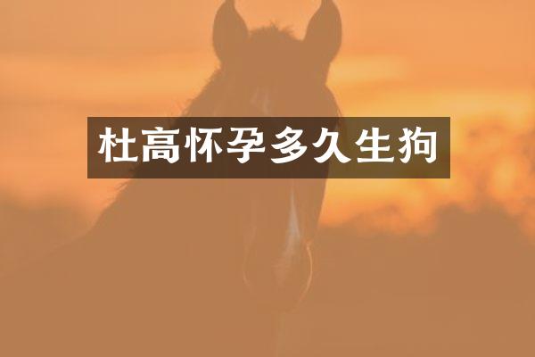 杜高怀孕多久生狗