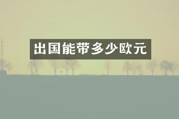 出国能带多少欧元