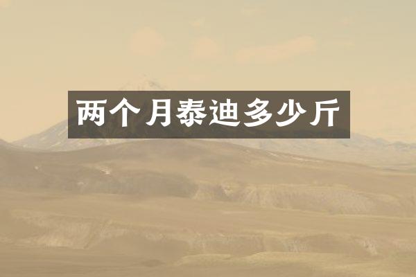 两个月泰迪多少斤