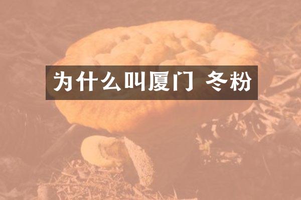 为什么叫厦门 冬粉