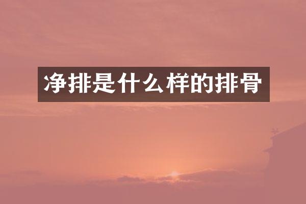 净排是什么样的排骨