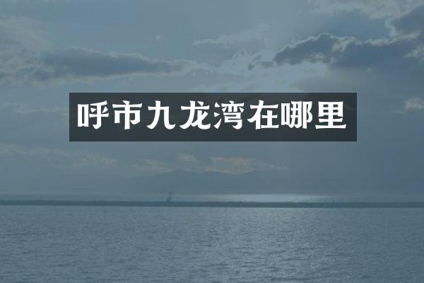 呼市九龙湾在哪里