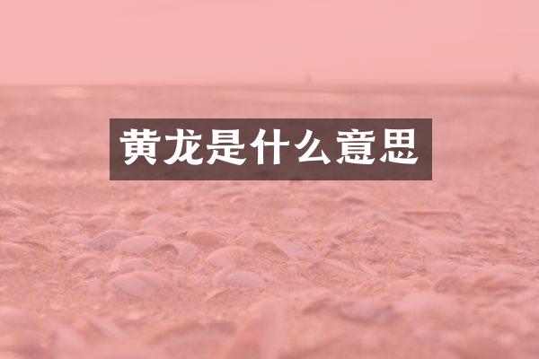 黄龙是什么意思